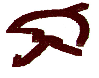 Logo PIN